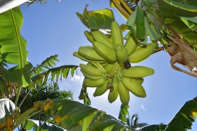 Pousada Malea Icaraí Exteriör bild
